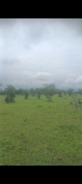  Agricultural Land 5 Acre for Sale in Katol, Nagpur