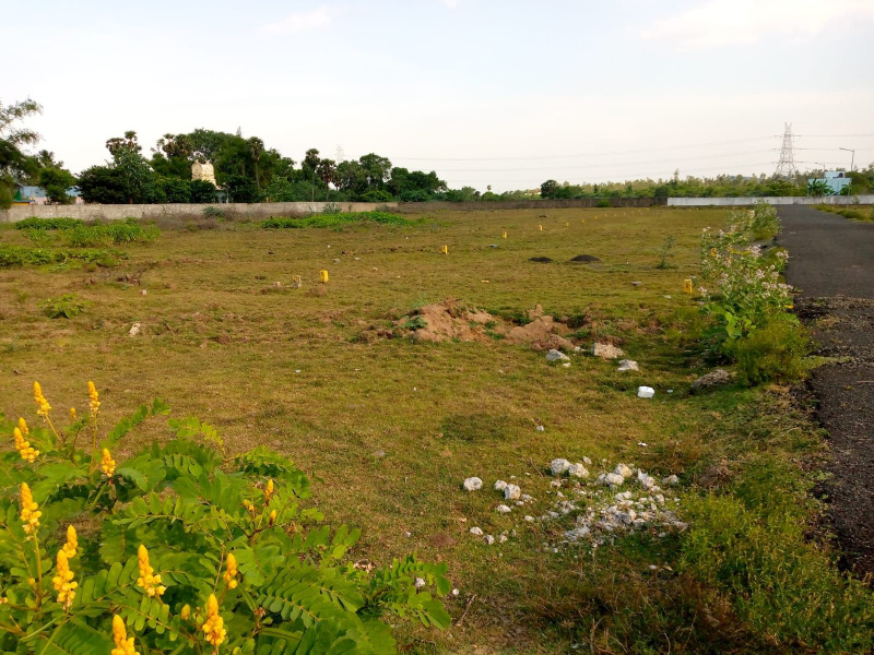  35 Acre Agricultural/Farm Land for Sale in Seloo, Wardha