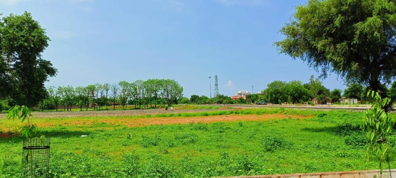 5 Acre Agricultural/Farm Land for Sale in Katol Road, Nagpur