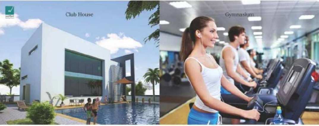  1277 Sq.ft. Residential Plot for Sale in Datrenga, Raipur