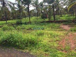  Agricultural Land for Sale in Karuvanchal, Kannur