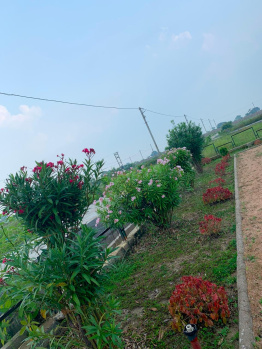  Residential Plot for Sale in Abhanpur, Raipur