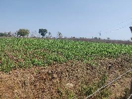  Agricultural Land for Sale in Bhokar, Nanded