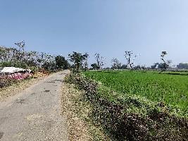  Agricultural Land for Sale in Domakonda, Nizamabad