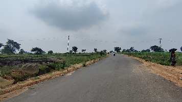  Agricultural Land for Sale in Madnoor, Nizamabad