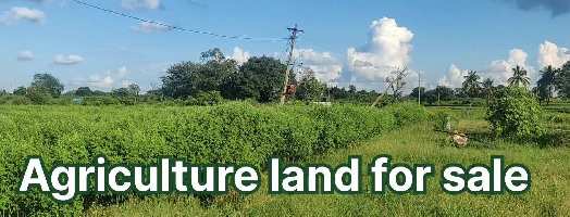  Agricultural Land for Sale in Gandhari, Nizamabad