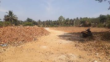  Commercial Land for Rent in Belavadi, Mysore