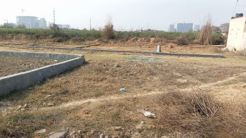  Residential Plot for Sale in Sector 12 Noida