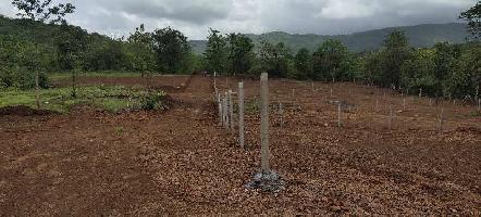  Agricultural Land for Sale in Tala, Raigad