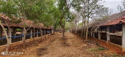  Agricultural Land for Sale in Malavalli, Mandya
