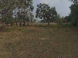  Commercial Land for Sale in Yelamanchili, Visakhapatnam