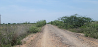 Industrial Land for Sale in Sholavaram, Thiruvallur