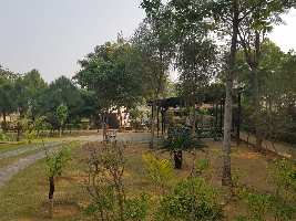  Agricultural Land for Sale in Sohna Road, Gurgaon