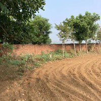  Agricultural Land for Sale in Ghasera, Nuh