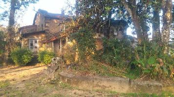  Residential Plot for Sale in Fairy Falls Road, Kodaikanal