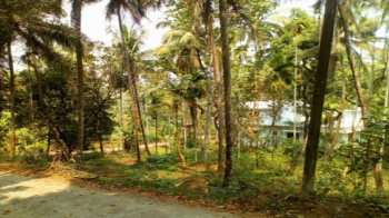  Residential Plot for Sale in Peravoor, Kannur
