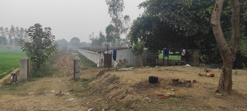  Agricultural Land 33000 Sq.ft. for Sale in Nawabganj Barabanki