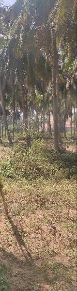  Agricultural Land for Rent in Nelamangala, Bangalore