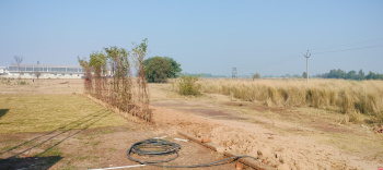  Industrial Land for Sale in Banur, Mohali