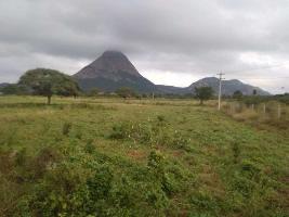  Agricultural Land for Sale in Keeranur, Dindigul