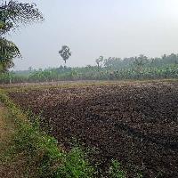  Agricultural Land for Sale in Bhavani, Erode