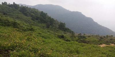  Commercial Land for Sale in Yercaud, Salem