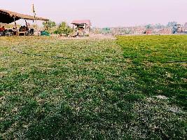  Agricultural Land for Sale in Sector 162 Noida