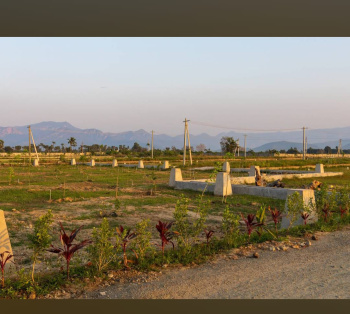  Residential Plot for Sale in Shiv Jyoti Nagar, Tirupati