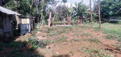  Residential Plot for Sale in Amdanga, North 24 Parganas