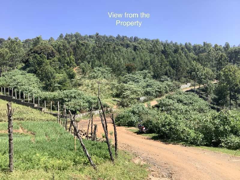 Residential Plot 12 Cent for Sale in Ketti, Ooty