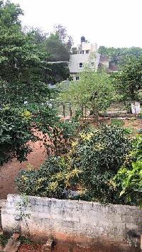  Agricultural Land for Sale in Kothanur, Bangalore