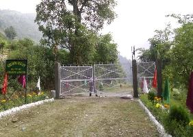  Residential Plot for Sale in Bhimtal, Nainital