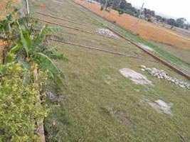  Residential Plot for Sale in Rudrapur Udham, Udham Singh Nagar