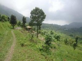  Residential Plot for Sale in Bhimtal, Nainital