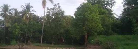  Commercial Land for Sale in Ottapalam, Palakkad