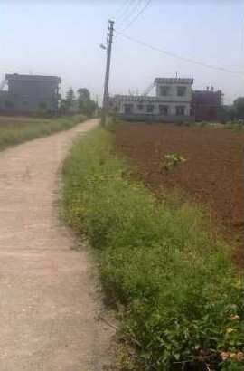  Agricultural Land 1 Bigha for Sale in Nakronda, Dehradun