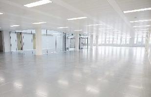  Showroom for Rent in East Of Kailash, Delhi