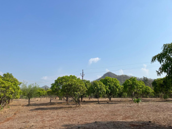  Residential Plot for Sale in Wada, Palghar