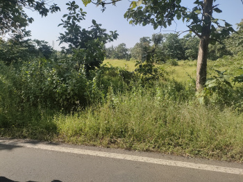  Residential Plot for Sale in Wada, Palghar
