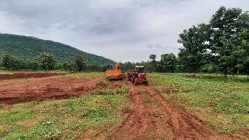  Agricultural Land for Sale in Anandapuram, Visakhapatnam