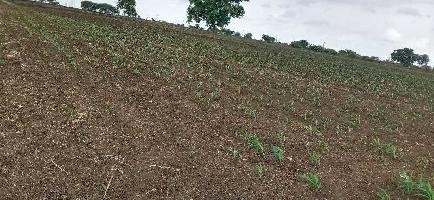  Agricultural Land for Sale in Yalagachu, Haveri