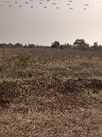  Agricultural Land for Sale in Merkunda, Bidar, Bidar