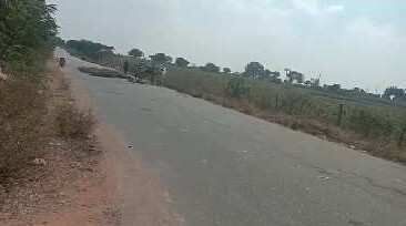  Agricultural Land 25 Acre for Sale in Shankarpally, Rangareddy