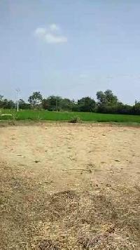  Agricultural Land for Sale in Kosgi, Mahbubnagar