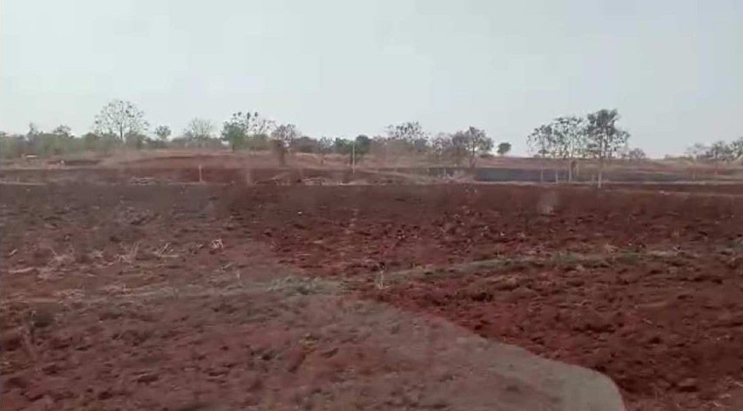  Agricultural Land 34 Acre for Sale in Kohir, Sangareddy