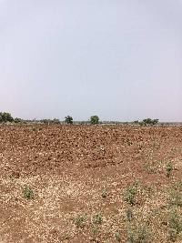  Agricultural Land for Sale in Kohir, Sangareddy