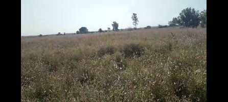  Agricultural Land for Sale in Mannaekhelli, Bidar