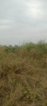  Agricultural Land for Sale in Tandur, Vikarabad