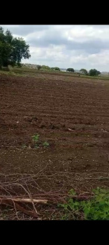  Agricultural Land for Sale in Tandur, Vikarabad