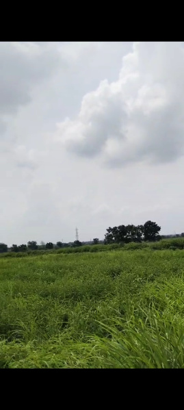  Agricultural Land 22 Acre for Sale in Tandur, Vikarabad